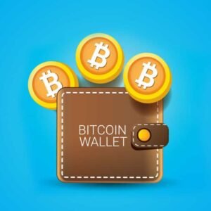 6 tipos de Bitcoin Wallet: cómo almacenar tus bitcoin y criptomonedas de forma segura