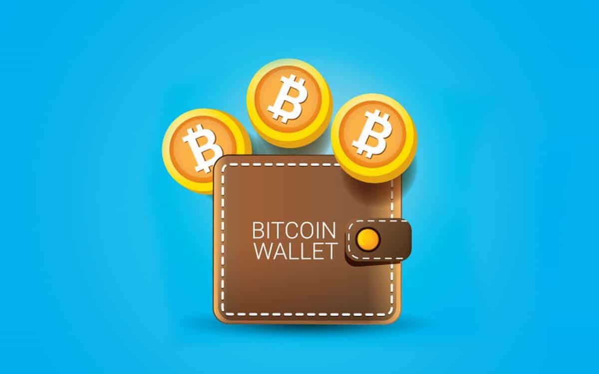 6 tipos de Bitcoin Wallet: cómo almacenar tus bitcoin y criptomonedas de forma segura