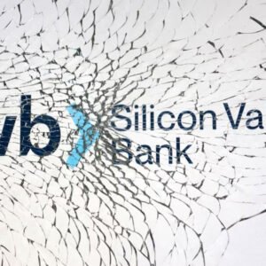 El colapso de Silicon Valley Bank: Un análisis del rescate de la Reserva Federal de EE.UU. y sus implicaciones para la banca estadounidense